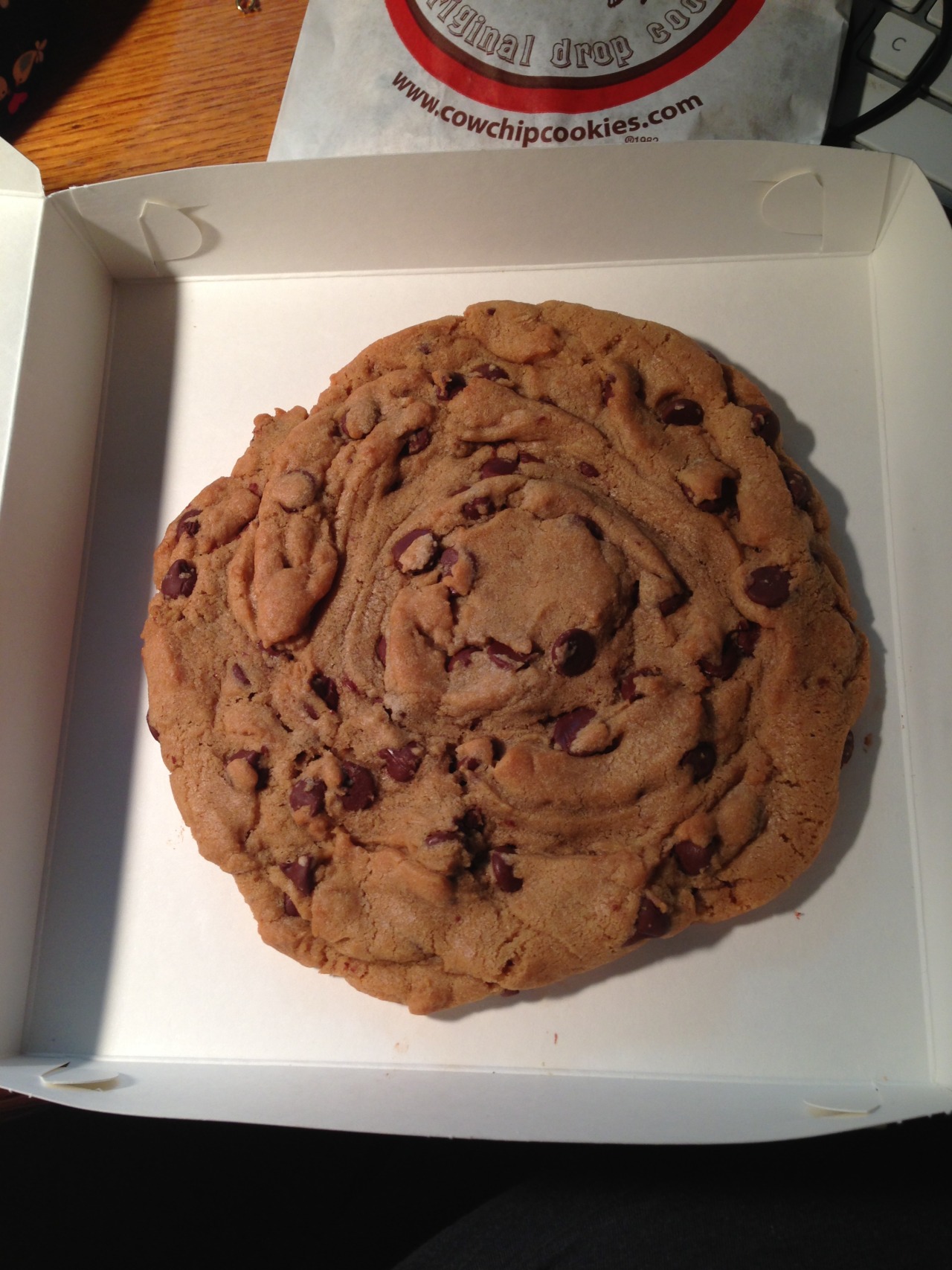 christinangp:  thecakebar:  wolfidy:  And, as my final fair post, I present to you