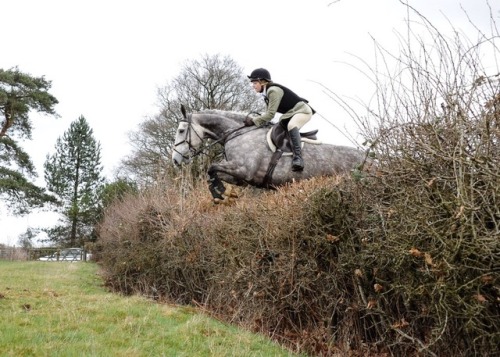 horseingabout: horseingabout: eventing-henry:  nicomorgan:  eventing-henry: Cannot wait to be out do