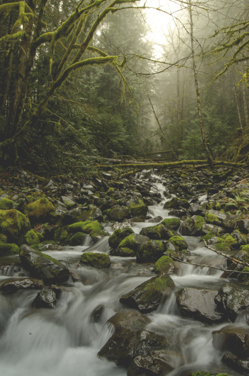 millivedderphotography:Streaming pt. 2 Flickr|Facebook|Tumblr|Society6