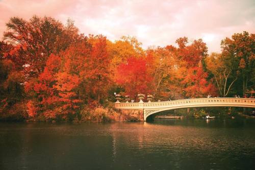 nythroughthelens:Autumn. New York City, Central Park, Bow Bridge. (at New York, New York)