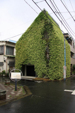 ileftmyheartintokyo:  Green House by naoyafujii