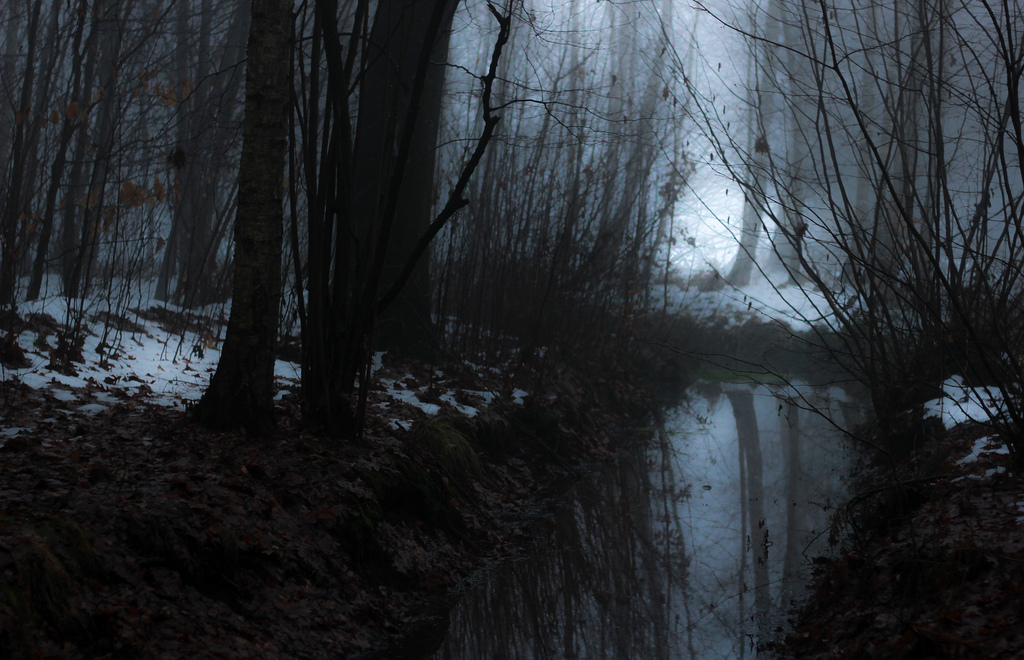 melisica: (by Fabian Rah) 