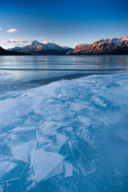 4nimalparty:  Abraham Lake 02 (by Yu Sheng