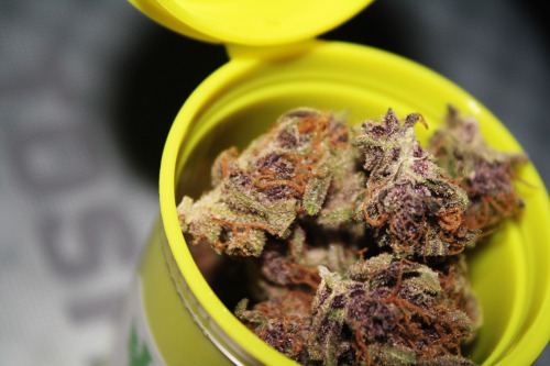 Stay lifted