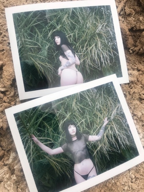 Porn Pics gothcharlotte:  Desert smut from yesterday