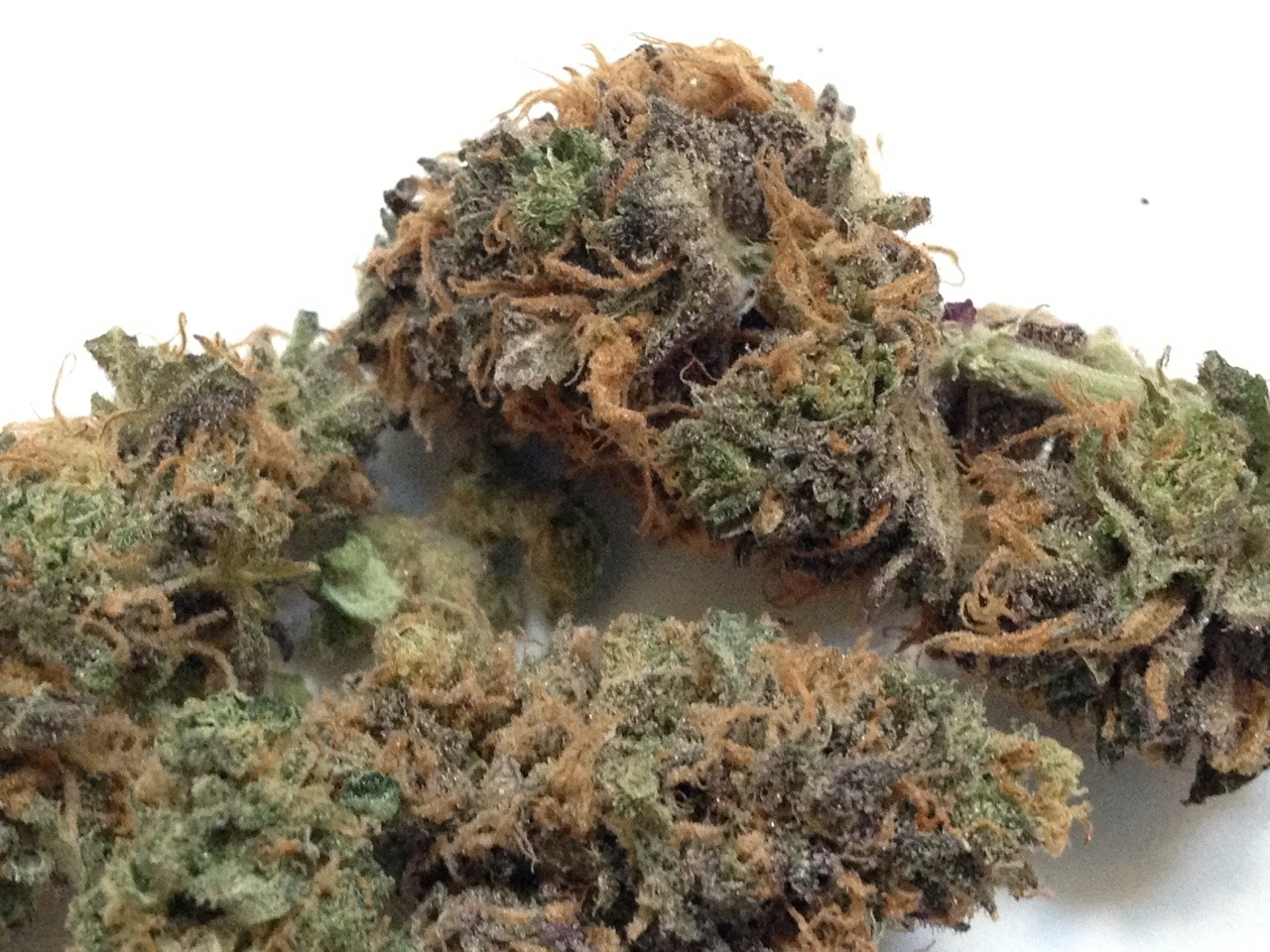 the-higher-life:  😈🍃 