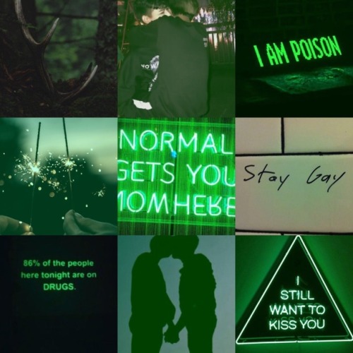 thatgayshitmoodboards: gay slytherin moodboard