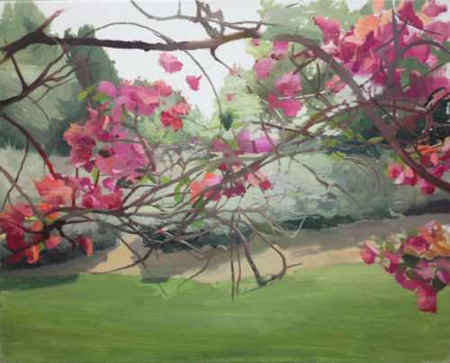 Bougainvillea with landscape in the background   -   Antonio Barahona , 2016.Spanish,b.1984-Oil on c