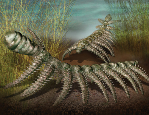 thatscienceguy:The Alien World of the CambrianIf you were to wake up one day and find yourself surro