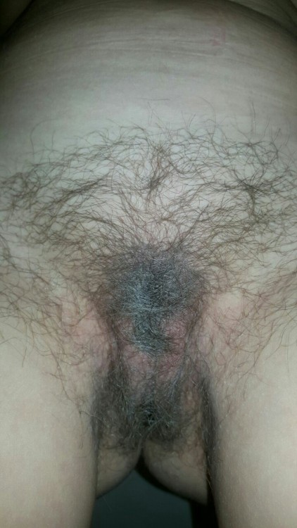 kanvsxxx:  My hairy slave 