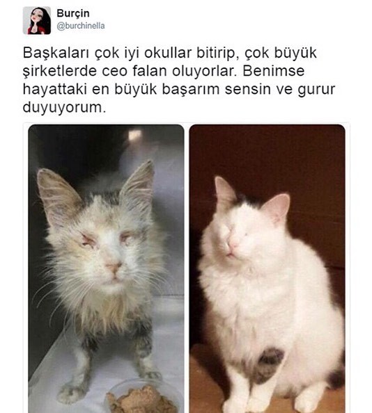 Başkaları çok iyi okullar...