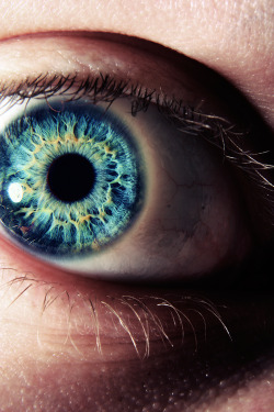 Plasmatics-Life:  Enigmatic Eye ~ By Njcphoto 