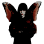 araneorum