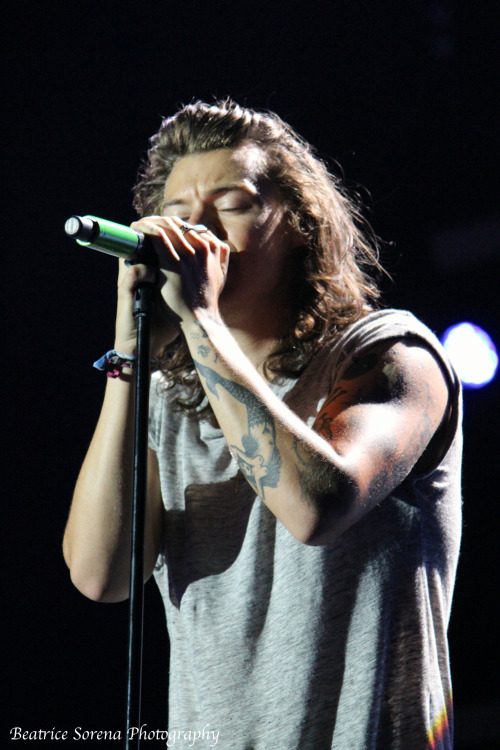 Harry Styles Pittsburgh 8/2/15