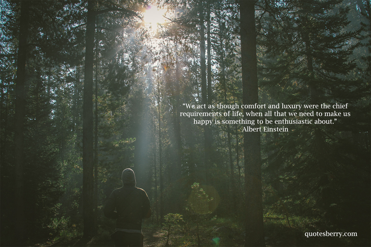 quotesberry:  We act as though comfort and luxury were the chief requirements of
