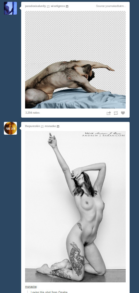 together-on-my-dash:  Posts by: paradoxicalunity and thepureskin What’s on your dash?