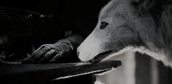 rubyredwisp:  ♕ So you believe you are pure? Perfect? Wholly without sin? None of us are.  