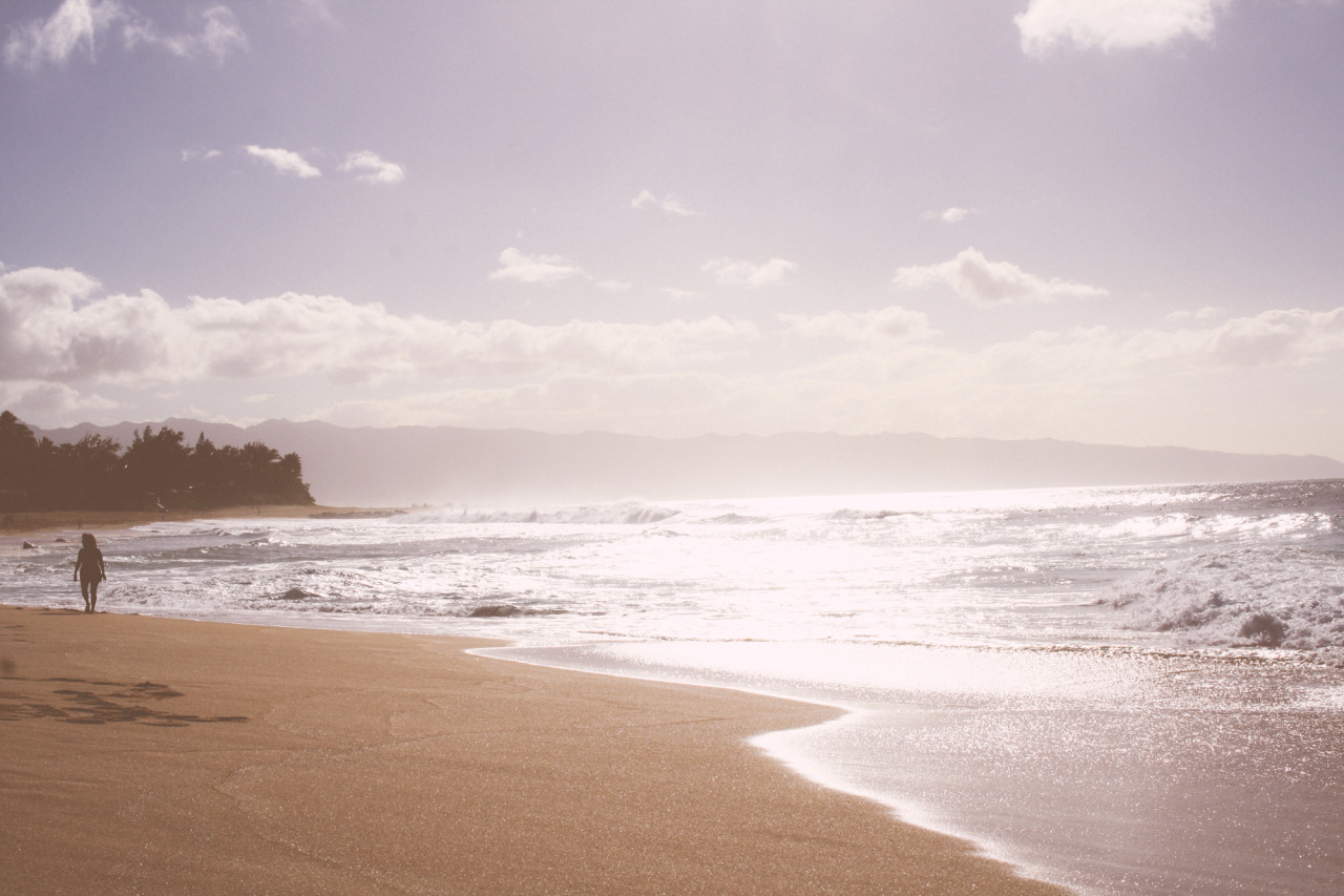 cfarcade:  waves hawaii, 2007 