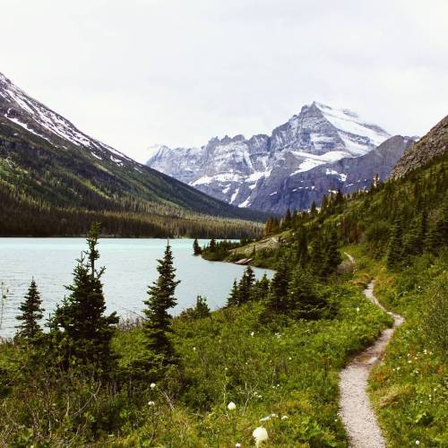 restlessswanderlust:Lake Josephine / Grinnell Glacier trail, Glacier NP