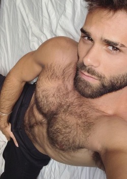 gaymalecelebrityfakes:thehairymenhunter:Dad just sent me a message saying that he