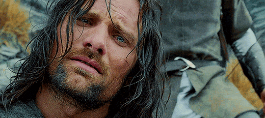 peregrintook: “But when the dawn came, cold and pale, Aragorn rose at once, and he led theCompany fo