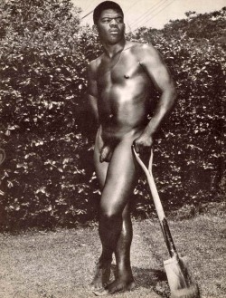 vintage nudist