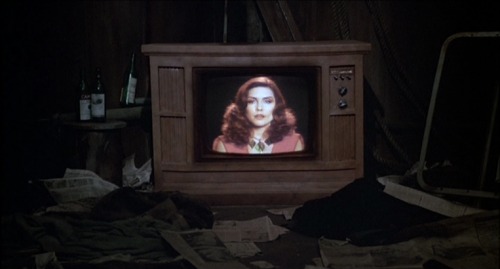 “There is nothing real outside our perception of reality, is there?”Videodrome (1983)