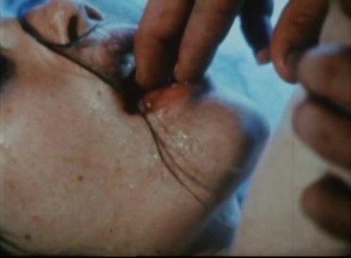 Porn Pics crumbargento:  Lunch - Curt McDowell - 1972