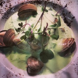 mistereatgalway:  Hake, clams, pea foam @cavagalway