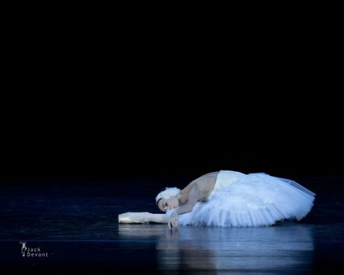 galina-ulanova: Olga Smirnova as the Dying Swan (Bolshoi Ballet, 2016)