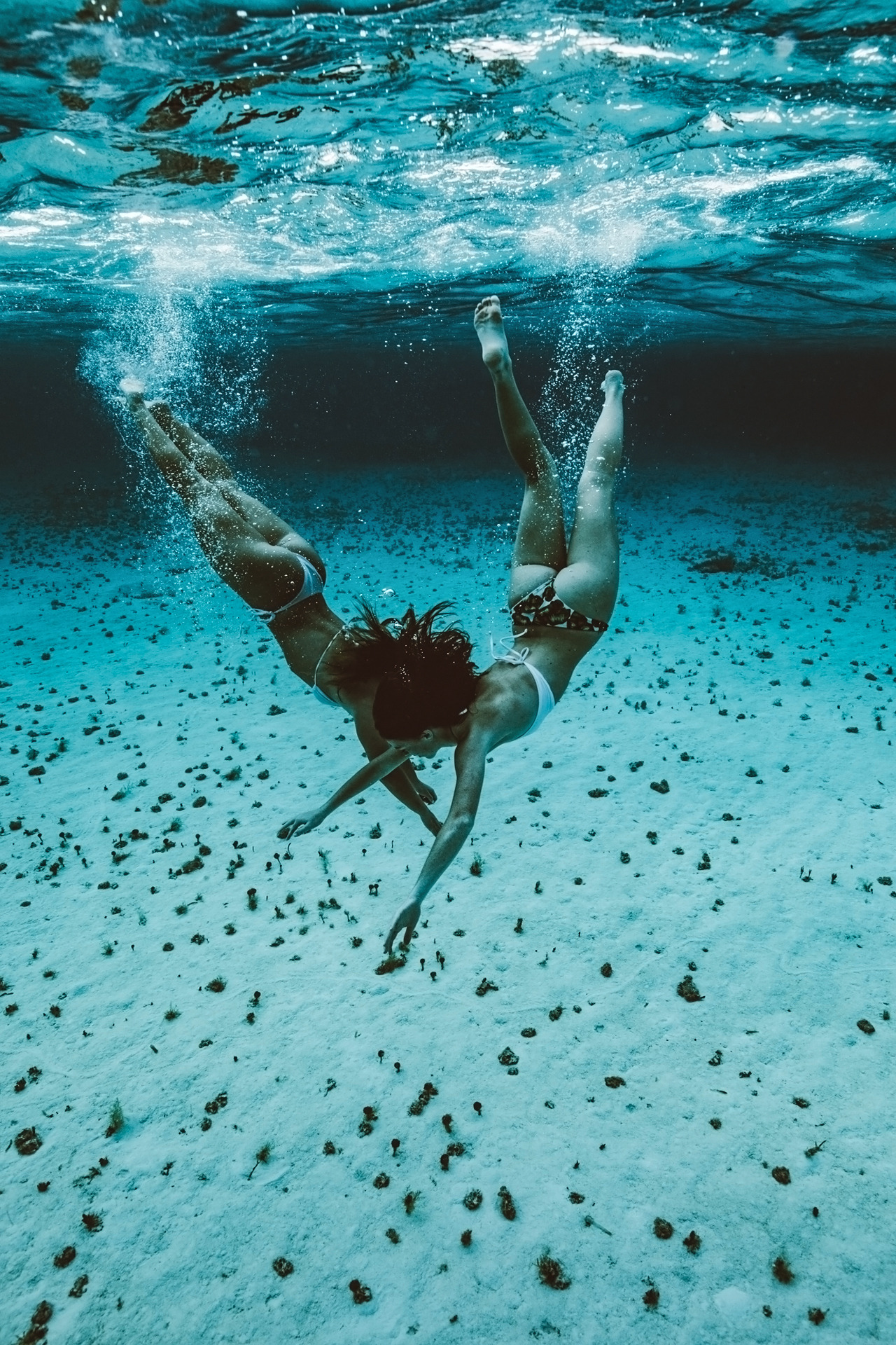 souhailbog:   Underwater Photography By   Brendan Bannister 