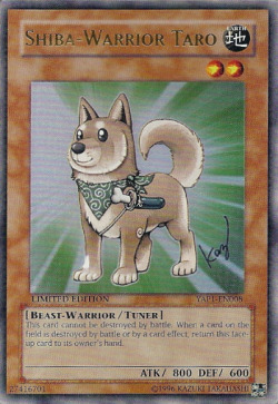 free-ottawe:  alantutorial:  000independentwormsaloon:  bideogams:  independentwormsaloon:  THIS IS THE CUTEST YU-GI-OH CARD EVER  um   I see your Rescue Rabbit and raise you one Rescue Cat  Your move   Poki Draco  nuff said