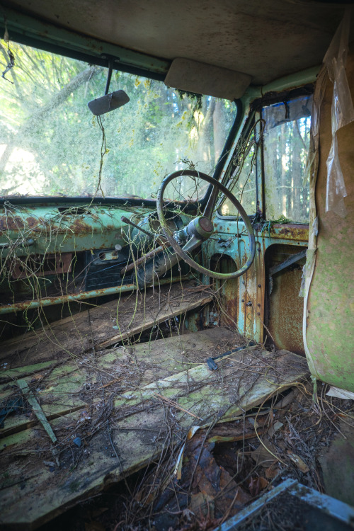 廃ゼットバン→詳細 Abandoned Hijet van.