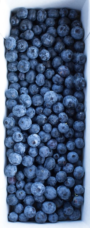 XXX Blueberries!!!!! photo