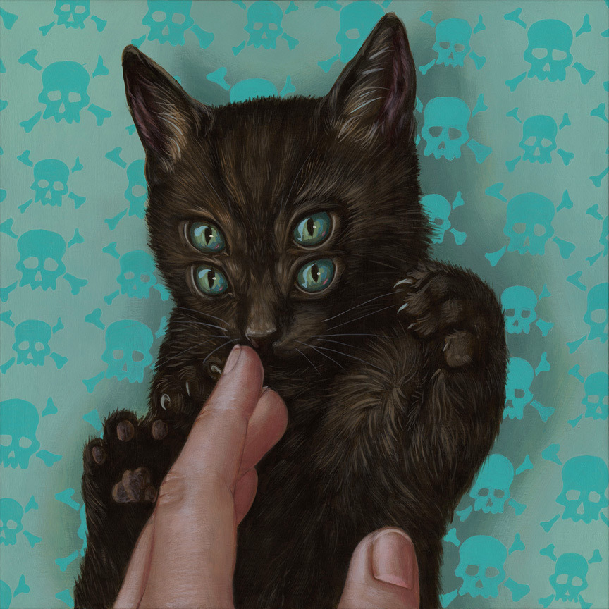 victoriousvocabulary:  FELINE [adjective] 1. belonging or pertaining to the cat