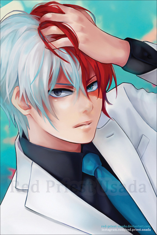 Todoroki - close up version : ).  Other version can be found here: hibalicious.tumb