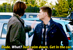 letangs:  SPN 10 countdown challenge | day 19 - episode 5 ↳ 9x05 - dog dean afternoon
