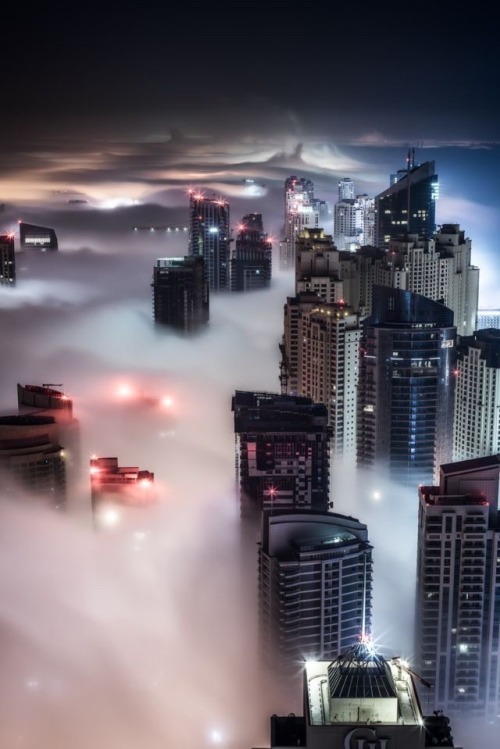 robert-dcosta:  Dubai at Night || @ || Robert D’Costa ||