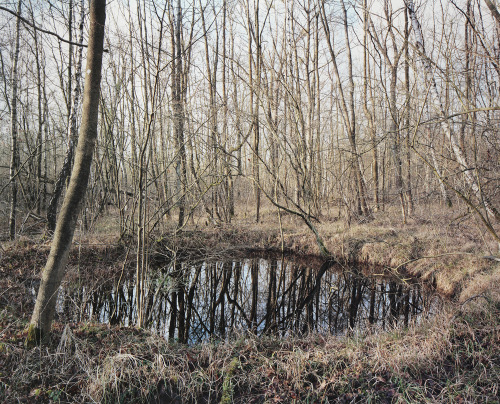 nevver:Bomb craters, Henning Rogge