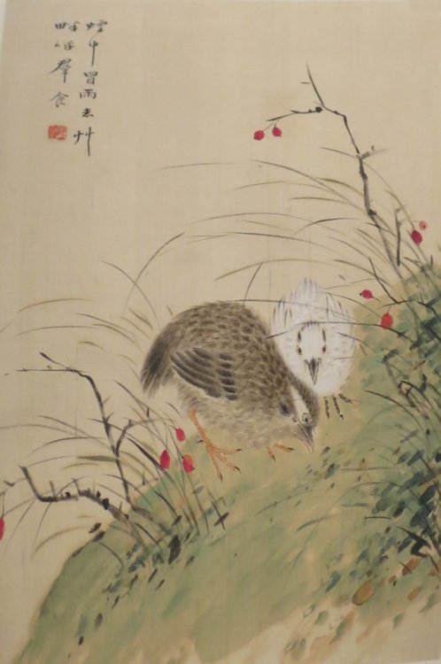 Album of Bird Paintings, Hua Yan (1682-1765)