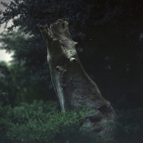 citroncollective:  . by lasaraperovic on Flickr. 