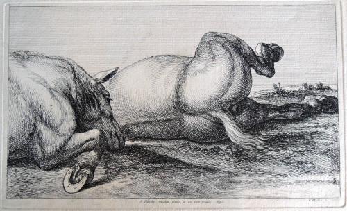 Engraved after Charles Le Brun’s Etudes de chevaux de bataille blesses (Studies for Wounded Warhorse