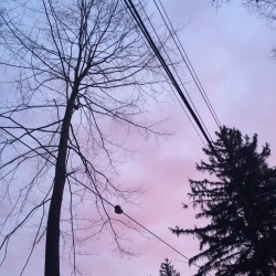 warhcl:when the sky is bruised purple and