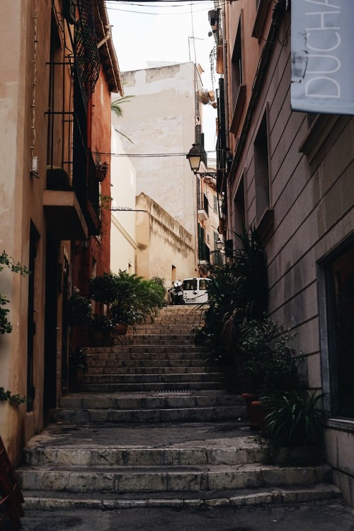 moaza:Photo by Oscar Nord on Unsplash