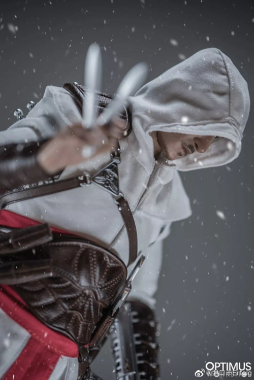 Assassin&rsquo;s Creed Altair Figure by DamtoysPretty!