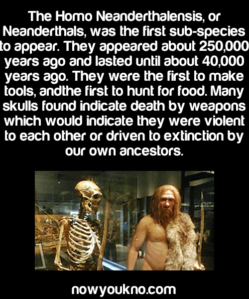 nowyoukno:  (Sources: 1, 2, 3, 4) for more facts follow NowYouKno 