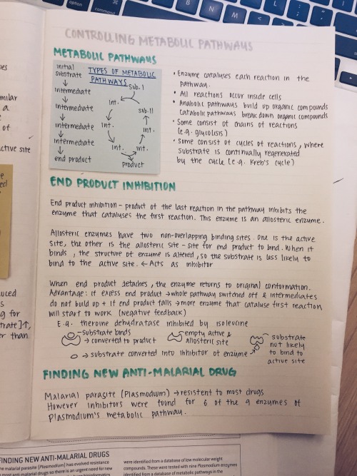 pastel-study:  newtostudying:  27 Jan 2016 Been writing a lot of notes in the past few hours. I real