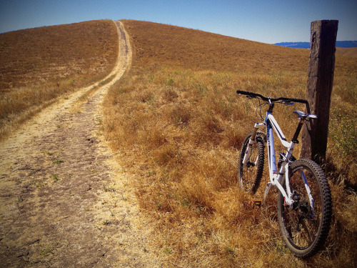georgimarkow:  Mountain Biking by cap-cole on Flickr.