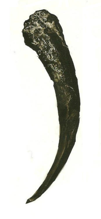 gravelorded:  Havel the Rock, Dark Souls Design Works 