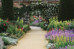 expressions-of-nature:  by ukgardenphotos Mottisfont Abbey Rose Garden, Hampshire, England 